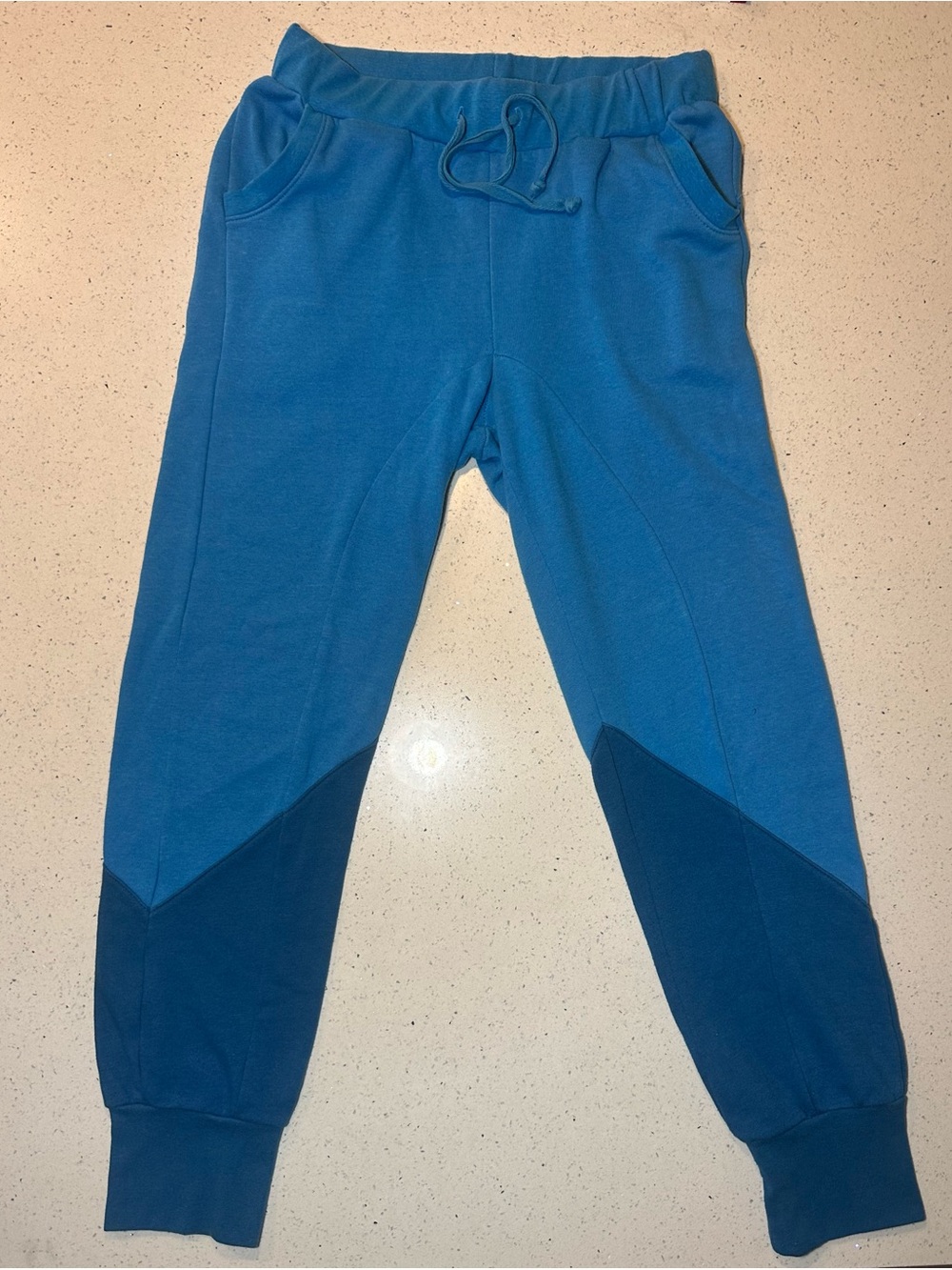 Aviator Nation Two-Tone Blue Jogger Sweatpants